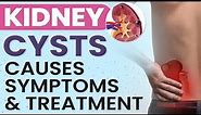 Kidney Cysts - Causes, Symptoms & Treatment