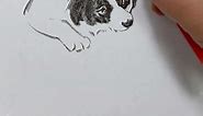 How to draw dog realistic - The Most Satisfying drawing Pencil Skills