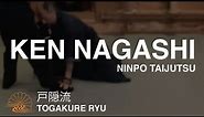 Ken Nagashi 拳流 of Togakure Ryu Ninpo Taijutsu