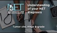 Understanding your Neuroendocrine Cancer Diagnosis
