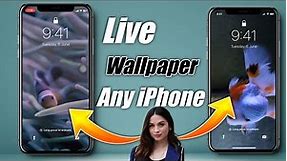 How To Set Live Wallpaper On iPhone iOS 16 | Set Live Wallpaper In iPhone 6/6+/7/8/12/13 Any iPhone