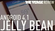 Android 4.1 Jelly Bean Review