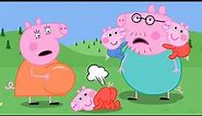 Mummy Pig Have a Baby - Daddy Pig's Nightmare | Peppa Pig Funny Animation