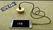 Free Energy Mobile Charger | Mobile Charging With a Potato | Mobile Charging | Potato Charger
