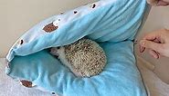 Friendly Small Pet Animals Bed Hedgehog Snuggle Sack Cushion