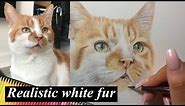 Realistic Cat Drawing | PART 6 - WHITE FUR | Real time drawing tutorial