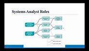 Who is System Analyst ?