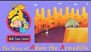 64 Zoo Lane - Adam the Armadillo S01E08 HD | Cartoon for kids