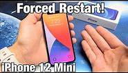 iPhone 12 Mini: How to Force Restart (Forced Restart)