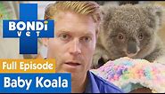 🐨 Baby Koala Needs To Eat Poop To Survive | FULL EPISODE | S8E6 | Bondi Vet