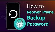 How To Recover iTunes Backup Password/Encrypted iPhone Backup [2021]