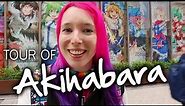 AKIHABARA TOUR: Anime Shops & Arcades