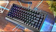 Best Razer Keyboard Yet! NEW Razer Blackwidow V4 75% Review