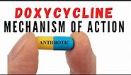 Doxycycline uses against acne and chlamydia | Mechanism of action