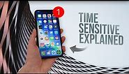 What is a Time Sensitive Notification on iPhone (explained)