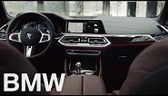 The all-new BMW X5 (G05, 2018). Interior design.