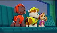 Paw Patrol - Robot Dog Beep and Pup Howling