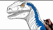 How To Draw A Velociraptor (Blue) | Step By Step | Jurassic World