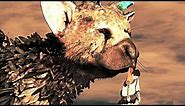 The Last Guardian All Trico Rescuing The Boy from Danger Scenes 4k Ultra HD 2160p