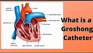 What is a Groshong Catheter