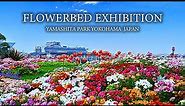 Flowerbed Exhibition Yokohama Yamashita Park Japan 4K Video Ultra HD 60fps HDR Travel NATURE 4K ASMR
