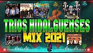 TRIOS DE LA HUASTECA HIDALGUENSES MIX 2021