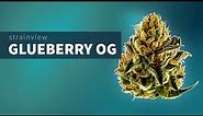 Glueberry OG - StrainView