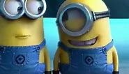 Best Vines USA - Minions Laugh At Anything