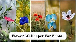 Flower Wallpaper For Phone🌺🌼🌷 || Beautiful Flower Wallpaper For Phone || Flower Wallpaper
