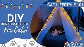 3 DIY gifts for your cat!