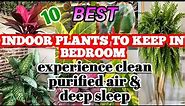 10 Best Air Purifying, Low light bedroom plants for good sleep | House plants for bedroom
