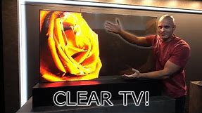 I found a Transparent TV! - How does it work?! OLED vs LCD