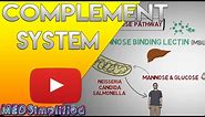 Complement System Made Easy- Immunology- Classical Alternate & Lectin pathway