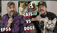 Cats vs Dogs with Brian Quinn aka Q | Sal Vulcano and Joe DeRosa are Taste Buds | EP 56
