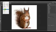 How to Convert Images to 300 dpi in adobe Photoshop