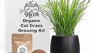 Cali Kiwi Pros Best Value Organic Cat Grass Growing kit, Seed and Soil for 4 plantings.Cat Toy Gift to Cats as Well as Hairball Remedy. (Ebony)