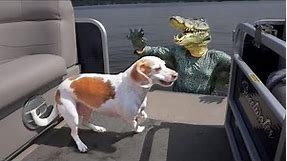 Crocodile Man Pranks Dog on Lake: Funny Dog Maymo