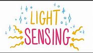 micro:bit light sensing
