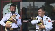 Video. WATCH: Philippine security guards adopt stray cats