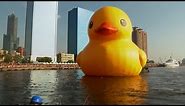 Some Ducky! This Oversized Bath Toy Could Be Seen From Space!
