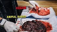 Plant-Based vs Animal-Based Placenta: Which One is Right for Your Baby?