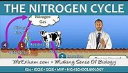 Cycles Within Ecosystems - Nitrogen Cycle - GCSE Biology (9-1)