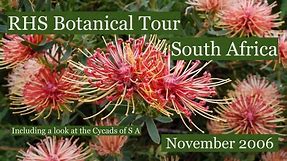 South African Plants. RHS Botanical Tour of the Western Cape and the North East.