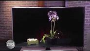 Samsung UN65JS8500 SUHD TV - Review