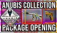 ANUBIS COLLECTION PACKAGE OPENING (NEW CS:GO CASE)