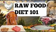 How to feed your dog a raw food diet plan - A natural diet suitable for your dog