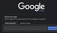 How To Do a Reverse Image Search