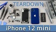 iPhone 12 mini Teardown