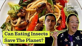 Can Eating Bugs Save the Planet?