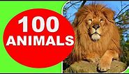 100 Animals for Kids - Animal Names and Sounds | Kids Educational Video